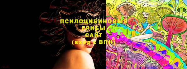 стафф Абинск