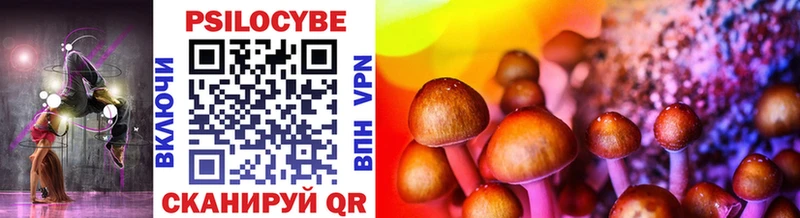 Псилоцибиновые грибы Psilocybe  Котельнич 